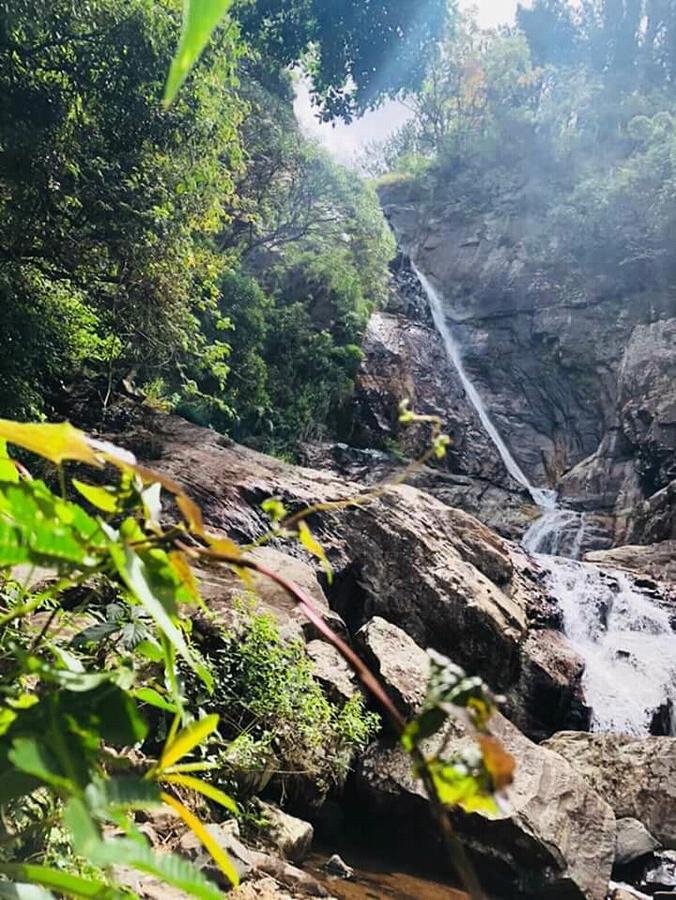 The Misty Mountain Guest House Haldummulla Ngoại thất bức ảnh